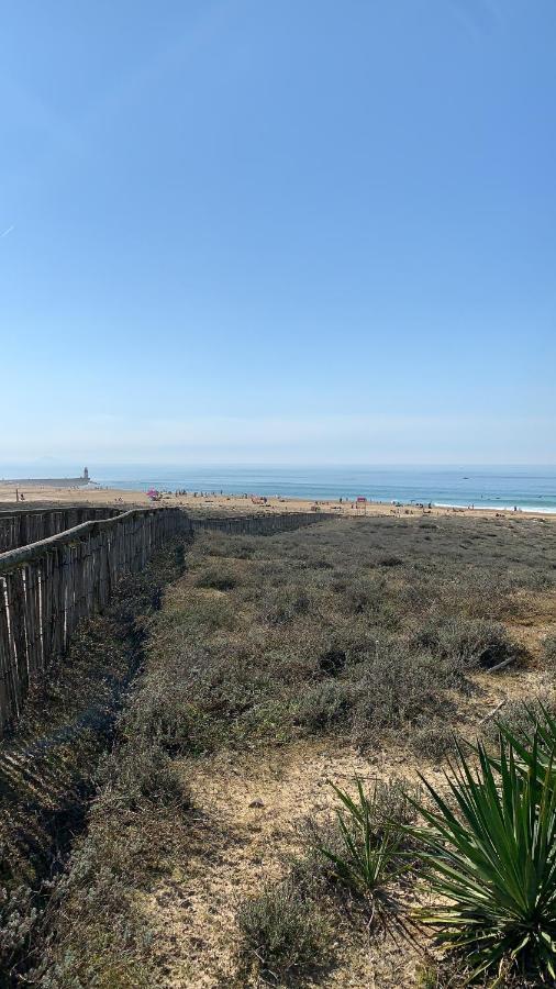 Studio Entre Lac Et Ocean A Hossegor Soorts-Hossegor Eksteriør billede